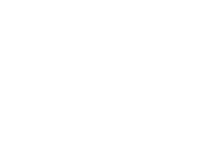 Secure Care Home Health Logo WHITE